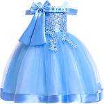 Robe de Princesse bleue brodée pour Fille à la mode