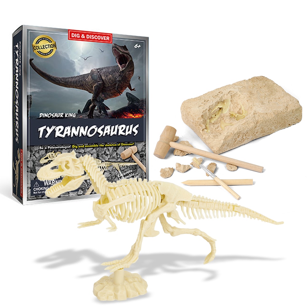 Kit jouet d'excavation de fossile dinosaure pour fille complet avec sa boite